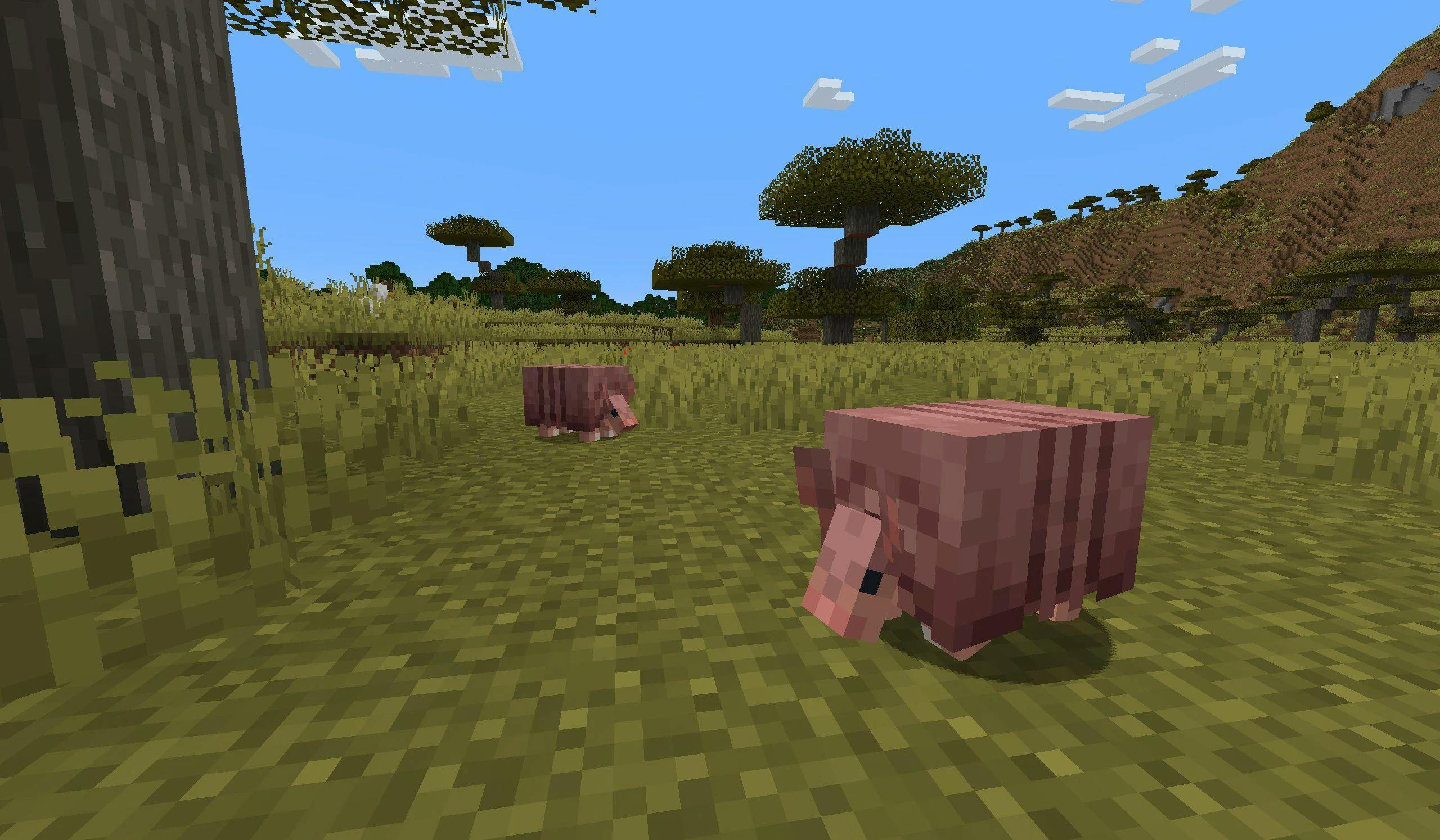 The Armadillo was voted the next new mob to be added in the Minecraft 1.21 update by the Minecraft Mov Vote in 2023. 