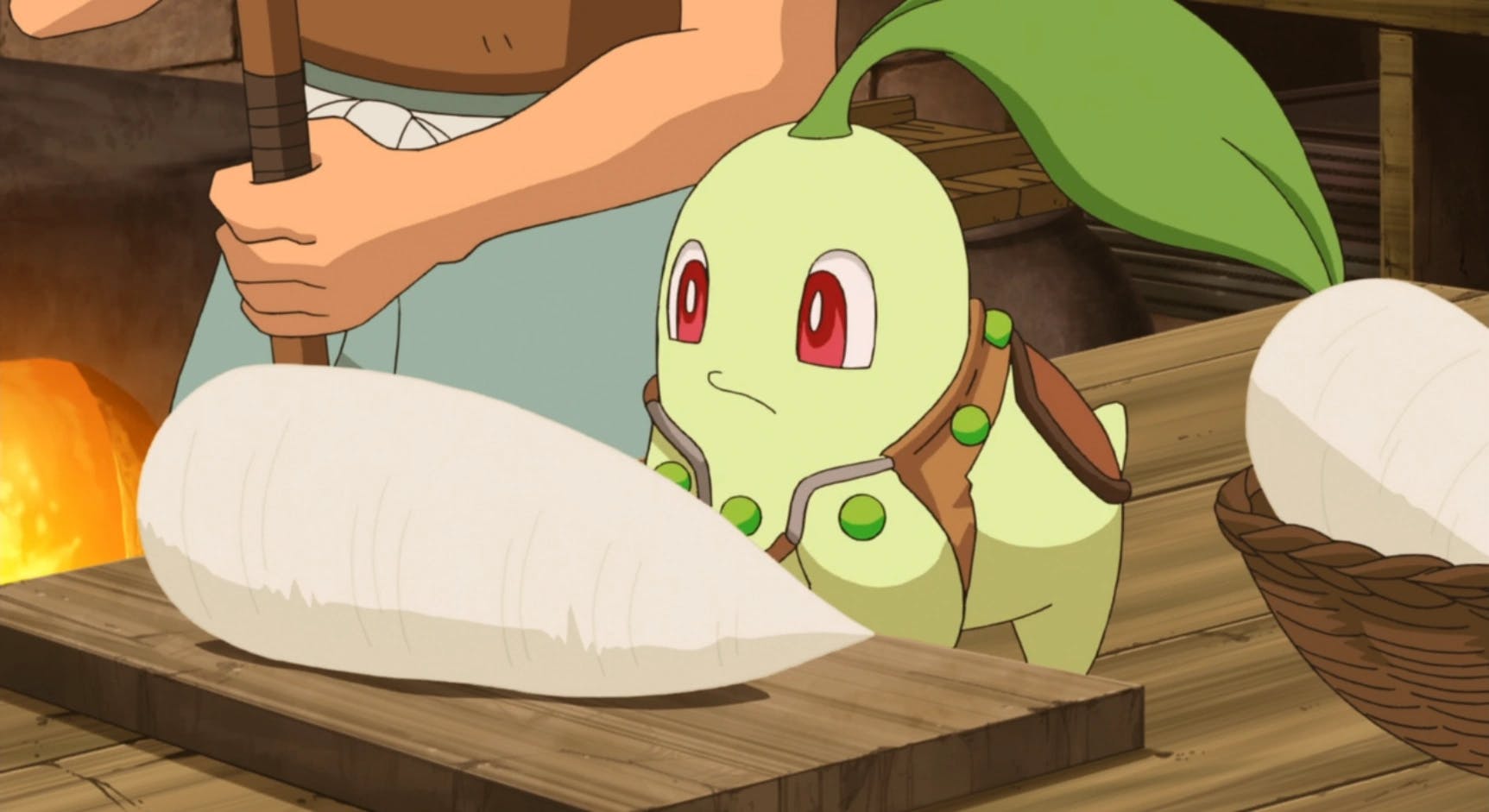 Chikorita