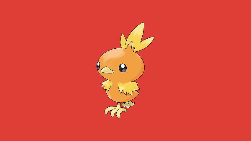 Torchic