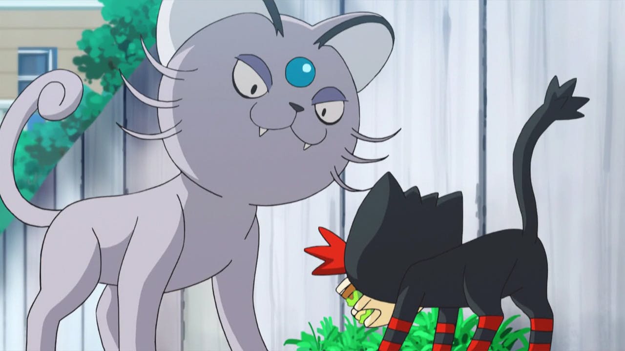 Cat Pokémon Alolan Persian and Litten