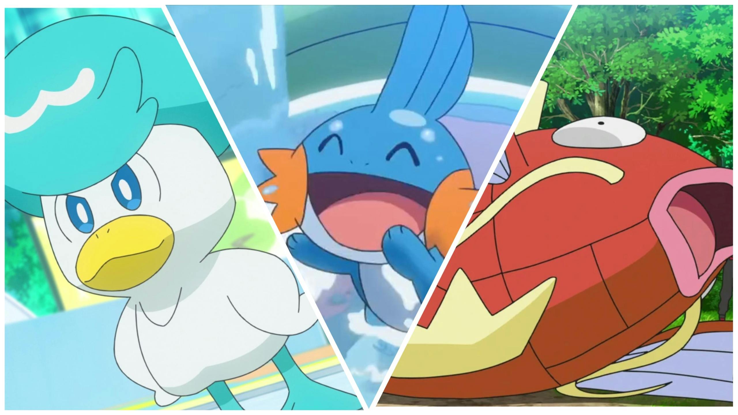 Pure Water type Pokémon examples, Quaxly, Mudkip, and Magikarp. 