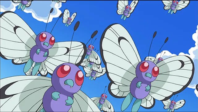 Bug Pokemon - Butterfree