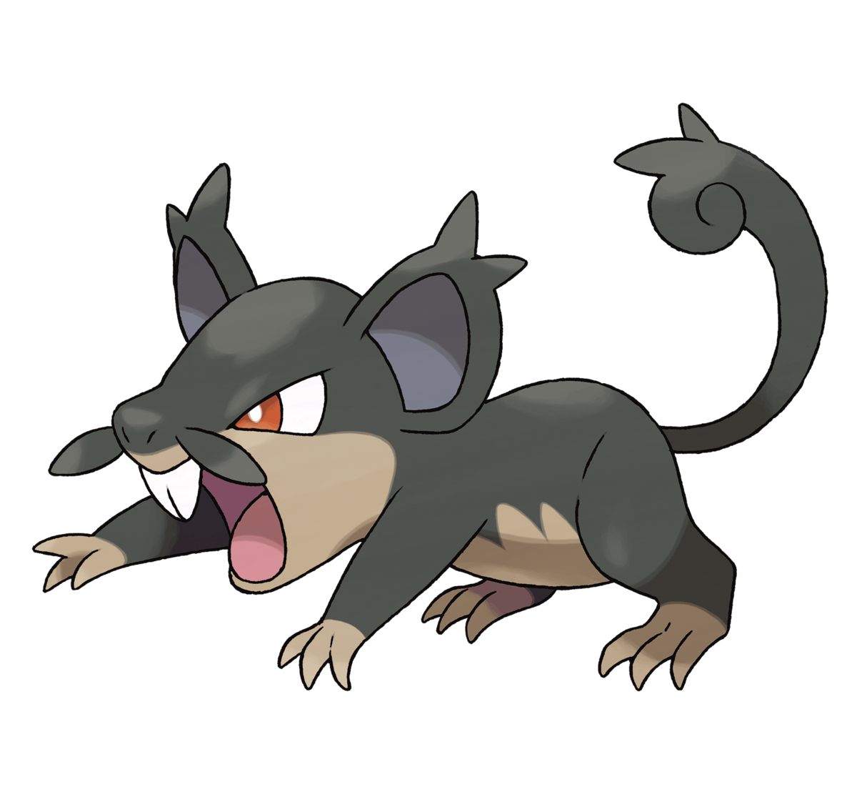 Rattata